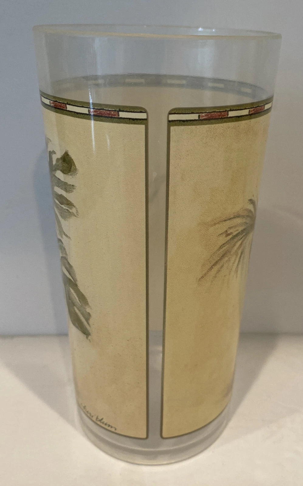 Evolution Sakura Tropical Palm Tree Melamine Plastic Glasses Chiri Blum Set of 8 | eBay