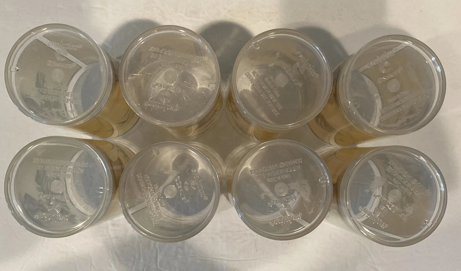 Evolution Sakura Tropical Palm Tree Melamine Plastic Glasses Chiri Blum Set of 8 | eBay