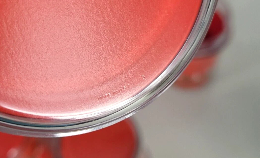 Vintage USA Lot of 6 - Thermo Serv 12 oz Red Strawberry Insulated Cups Tumblers | eBay